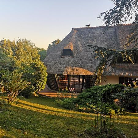 Villa Serenite Noisy-le-Grand Extérieur photo